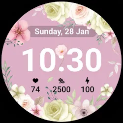 U011Flower Pastel Watch Face icon