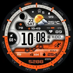 ML2U 339 Watch Face icon