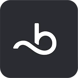Booksy Biz: para negocios icon