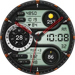 NanoHron Hybrid Watch Face icon