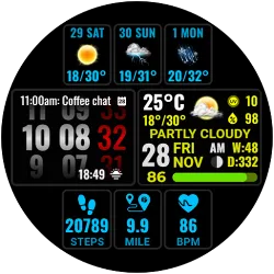 Weather hours and days NTV600 icon