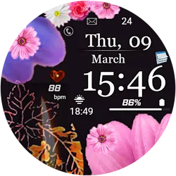 FSW225 WATCHFACE icon