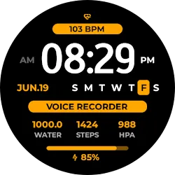 EXD204: Personal Watch Face icon