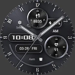 ZKin Watch Face Elegant grey icon