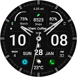 WFP 320 Hybrid watch face icon