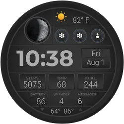 SWF Digital Mastery Watch face icon