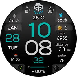 CFS108 Digital icon