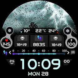 Animated Weather Digital ECO53 icon