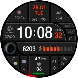 CFS105 Digital icon