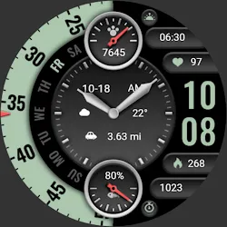 Overlapp Turntable ZKin Watch icon