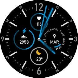 Endurance Watch Face icon