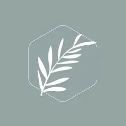 The Branch Church OH icon