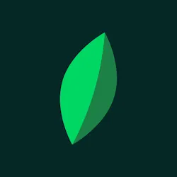 Kijani icon