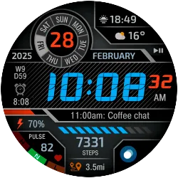 CFS111 Digital icon