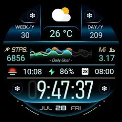 Health Tracking - Km/Mi - RE28 icon