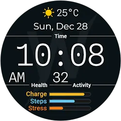 Brut Ledger Watch Face icon