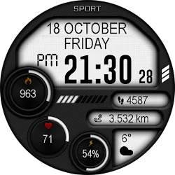 Digital Iwasa Watch Face icon