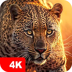 Fondos de pantalla animales 4K icon