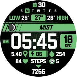ATHLETIC Digital Watch Face icon