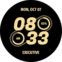 Embassy 3: Minimal Watch Face icon
