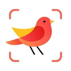 Picture Bird - 撮ったら、判る-1秒鳥図鑑 icon