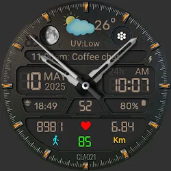 CLA021 Analog Steel icon