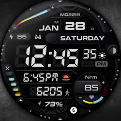 MD221B Digital watch face icon