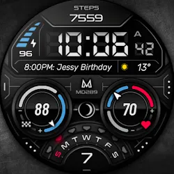 MD289 Digital watch face icon