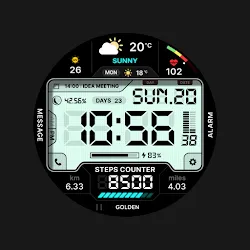 SamWatch Digital XXV icon