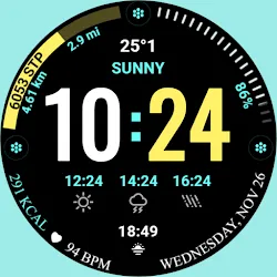 Clima Pulse 2 icon