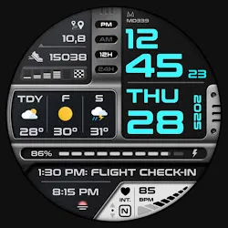 MD339 Digital watch face icon
