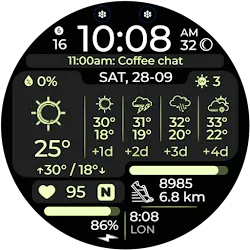 Chester Active WX icon