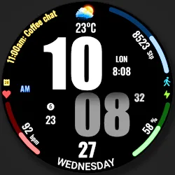 WFP 319 Digital Watch Face icon