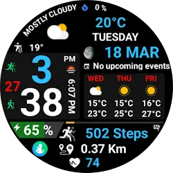 Digital Weather D Sport NTV580 icon