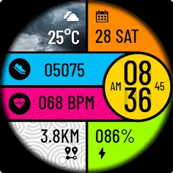 POLO Watch Face icon