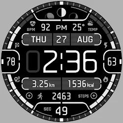 BRN165 - CELON icon