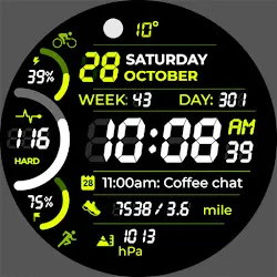 Chester Neo watch face icon