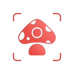 Picture Mushroom - Pilzführer icon