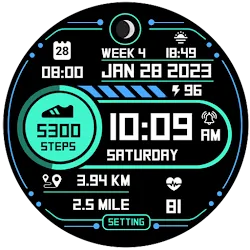 Step Up 2 - Digital Watchface icon
