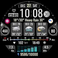 Informative Digital Weather A4 icon