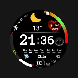 FS W243 Watchface icon