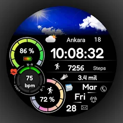 Animated FSW284 Digital icon