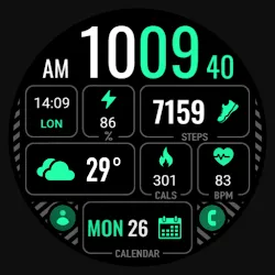 MDS441 Digital Watch Face icon