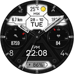 Echo Hybrid Watch Face icon