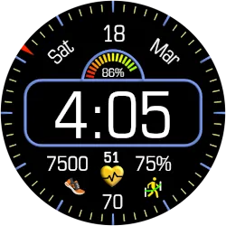 Iris4010 Digital Watch Face icon