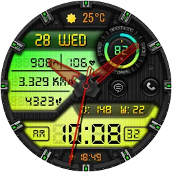 WERDANT Watch face icon