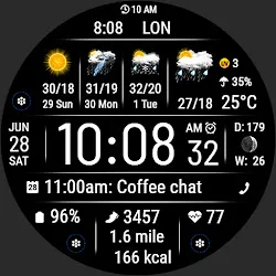 VF Weather Inform Watch Face icon