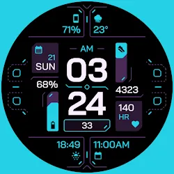 TKS 25 Circuit Watch Face icon