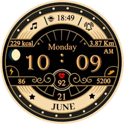 Vintage 2 icon
