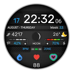 WaTchG003: Digital watch face icon